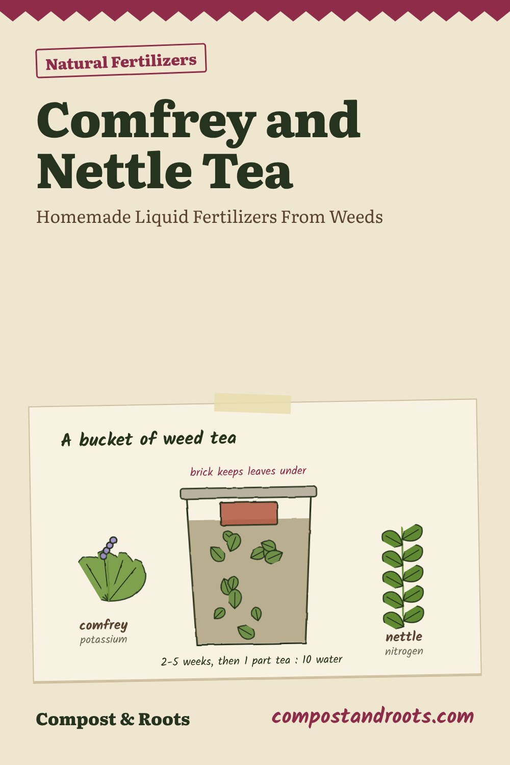 Pinterest pin for Comfrey and Nettle Tea: Homemade Liquid Fertilizers From Weeds