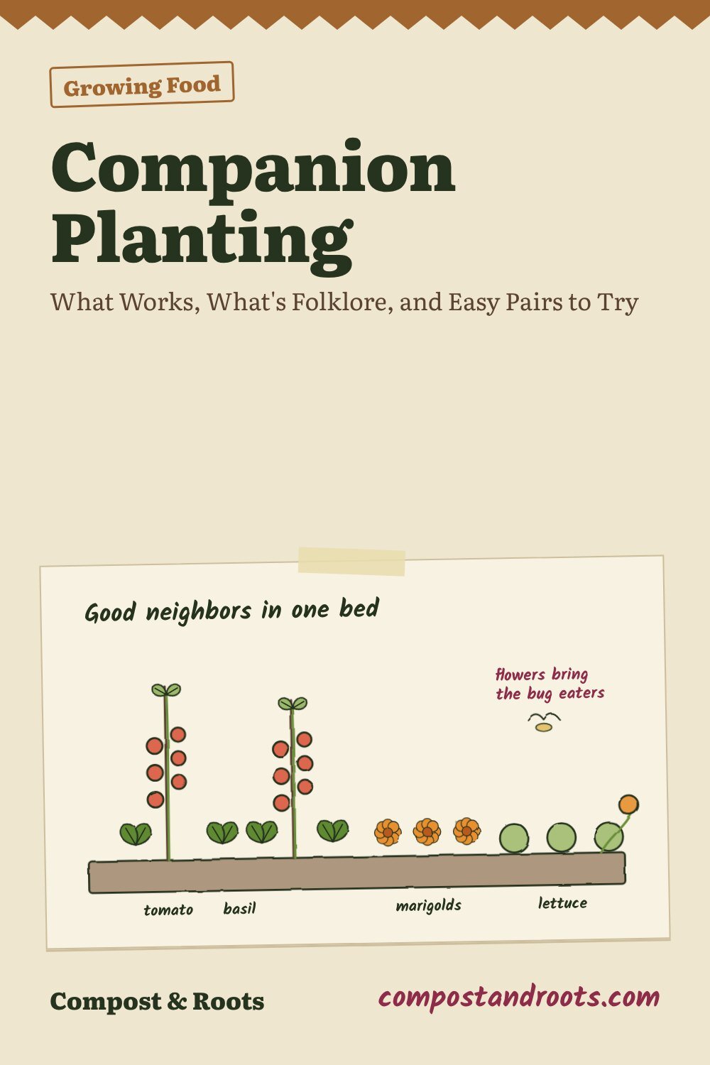 Pinterest pin for Companion Planting: What Works, What's Folklore, and Easy Pairs to Try
