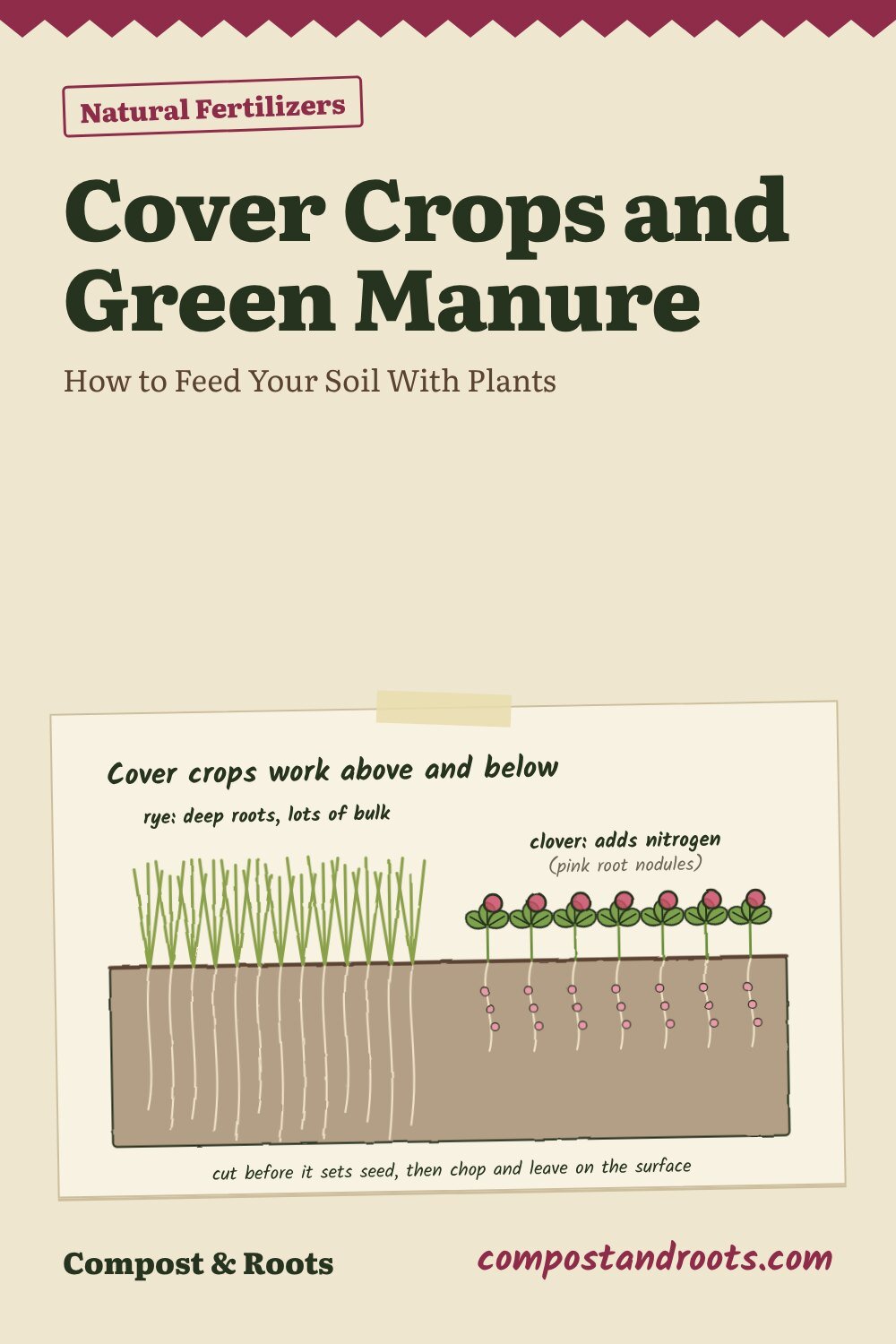 Pinterest pin for Cover Crops and Green Manure: How to Feed Your Soil With Plants