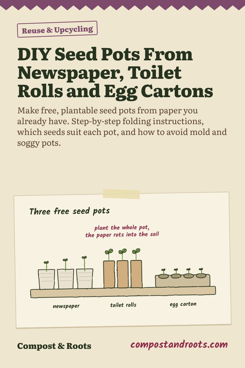 Pinterest pin for DIY Seed Pots From Newspaper, Toilet Rolls and Egg Cartons