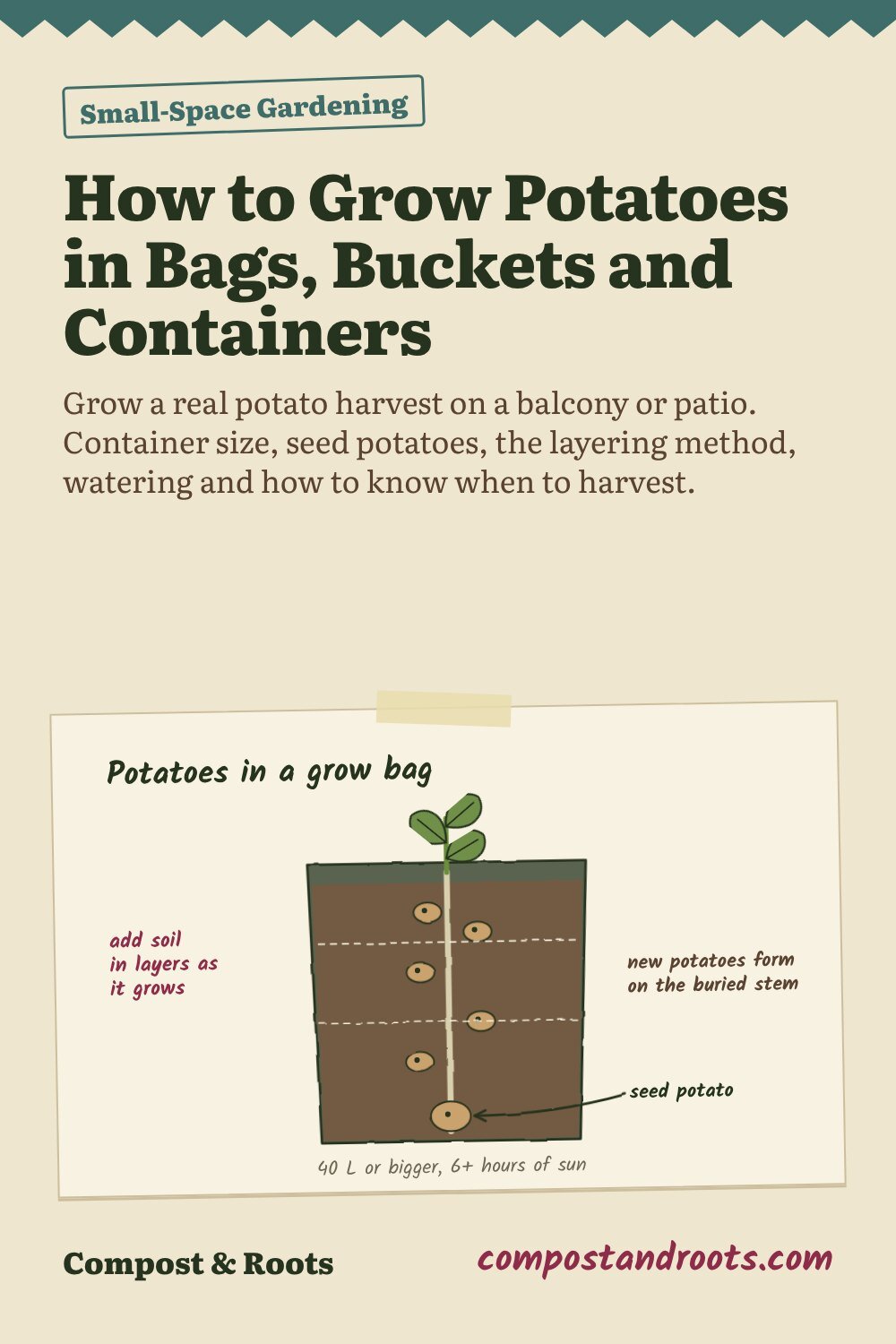 Pinterest pin for How to Grow Potatoes in Bags, Buckets and Containers